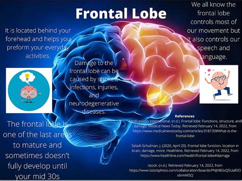  There was frontal lobe damage