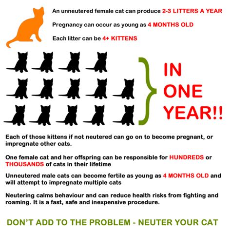  Therefore, I will only be having 2 litters a year