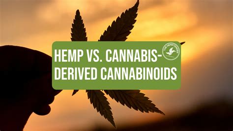  Therefore, manufacturing a hemp-derived cannabinoid pet supplement is not without its risks