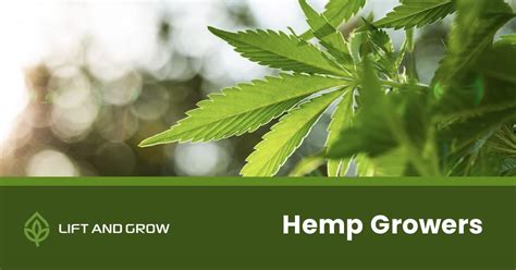  Therefore, we favored brands that sourced their hemp from domestic growers