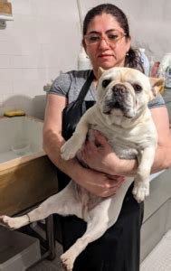  These Frenchies are just the right size for these large sinks