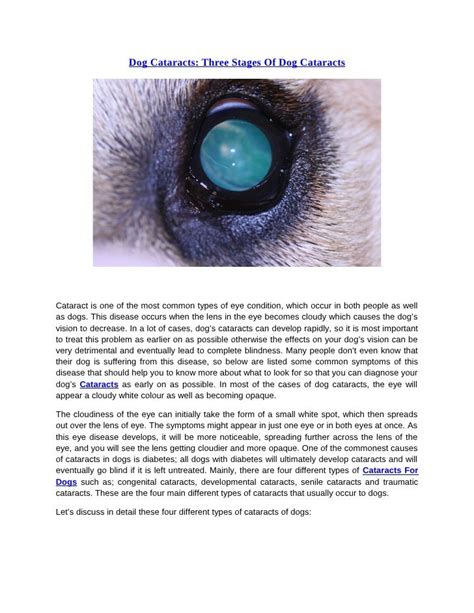  These are the most common type of cataracts that are seen in dogs: Congenital cataracts: This type of cataract is present at birth
