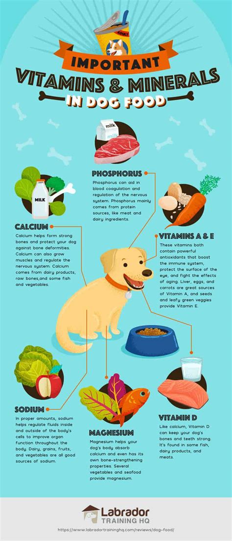  These components provide your small dog with all the necessary nourishment and more