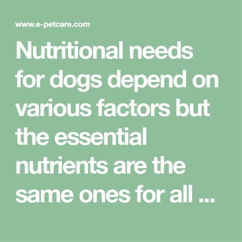  These criteria are based on scientific research, expert opinions, and the specific nutritional needs of dogs