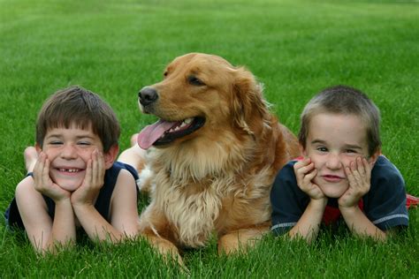  These dogs tend to do well with children, other dogs, and other pets