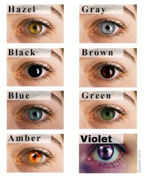  These eye colors are relatively rare in the breed and are not typically intentional breeding traits