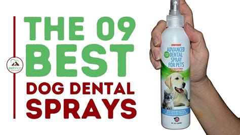  These include things like dog dental sprays, dog dental chews, dog toothpaste, and dog toothbrushes