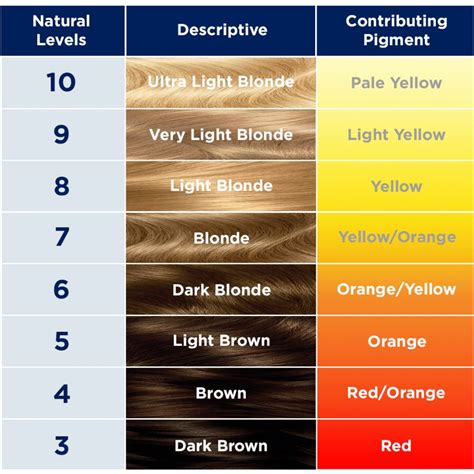  These interactions determine the intensity of black and brown chocolate pigments