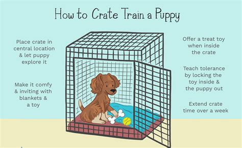  These should only be given in the crate so that they associate being there with playtime fun! Exercise regularly to help tire out your pup before entering into the crate as this encourages more restful sleep periods