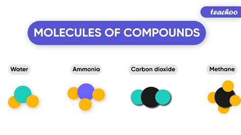  These two compounds are similar, with one key difference