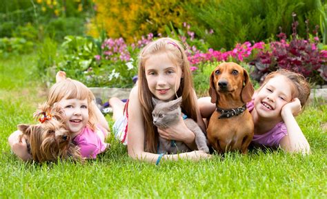  They also enjoy engaging in outdoor playtime with other pets and children in their family