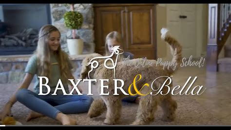  They also partnered with Baxter and Bella, which is an online puppy school