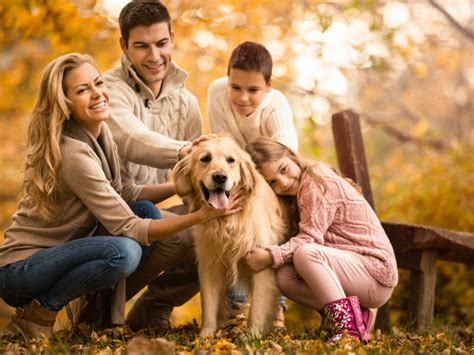  They are great companion dogs for families that like to spend a lot of time with their dog
