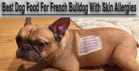  They are ideal for French Bulldogs with sensitive skin or allergies to artificial ingredients