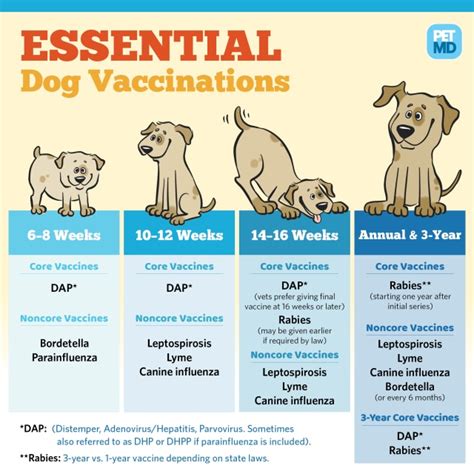  They are updated on vaccinations and deworming
