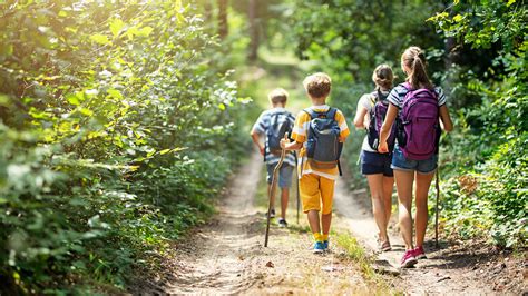 They do love their outdoor adventures and will be more than happy to join you on a hike or your morning jog, but they do not need intensive exercise to stay healthy and happy