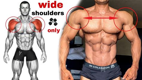  They have wide shoulders and chests, with thick, tough appendages