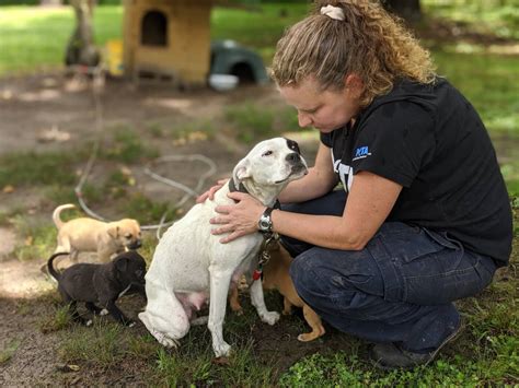 They hope to rescue many more animals as time goes on