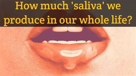  They produce less saliva and are therefore much less allergenic