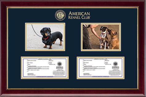  They sell puppies through finite registration with the American Kennel Club