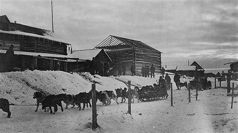  They were very instrumental in the initial Iditarod, which was a race to get a lifesaving Serum from Anchorage to Nome Alaska