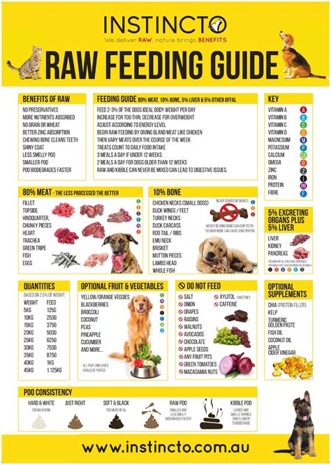  They will be able to properly recommend a raw diet plan and talk you through the pros and cons of the diet specific to your own pet