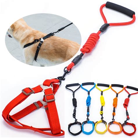  Think of this first leash as an all-purpose leash that you can use for taking your puppy out to go potty, to the vet, etc