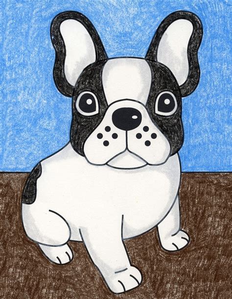  This French bulldog sketching idea will show how you can draw the outline of a French bulldog which will help you make the complete illustration on your own