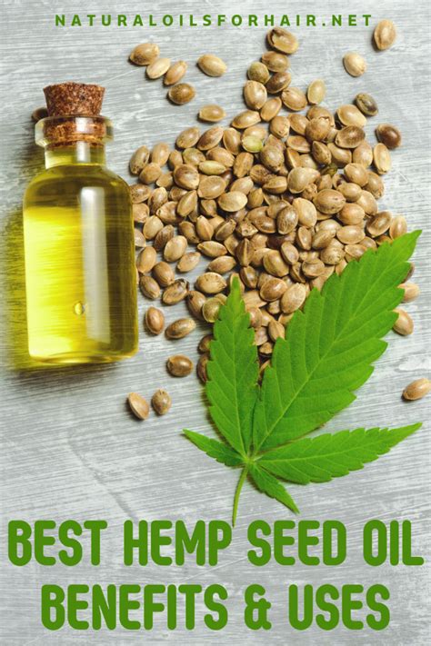  This breaks down the hemp and releases the oil