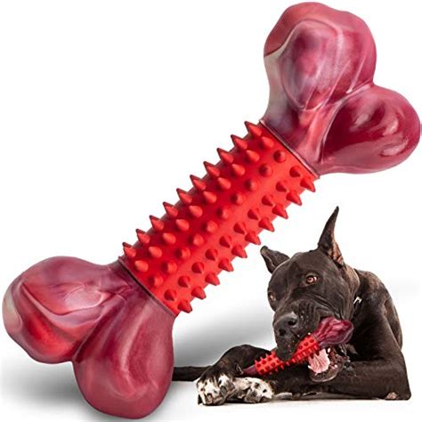  This breed likes to chew and should be supplied with plenty of toys and bones