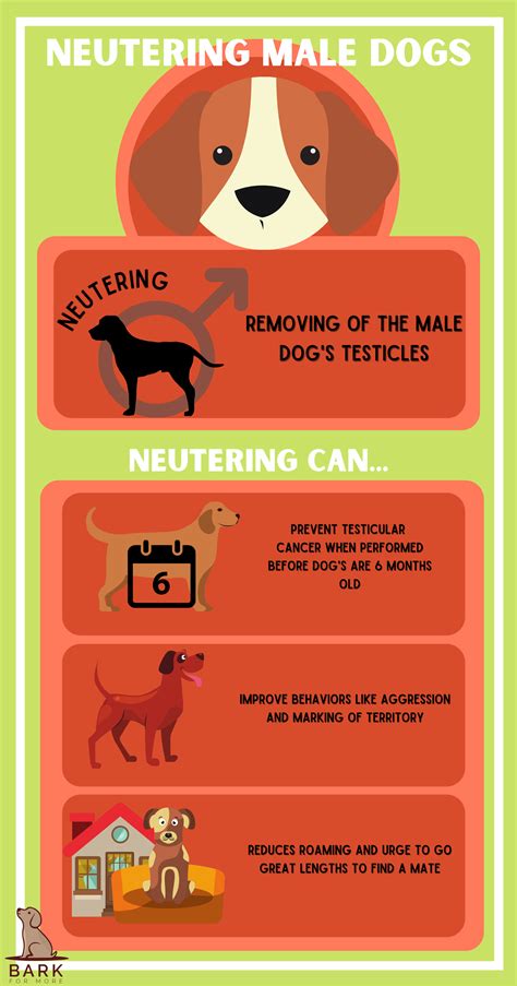  This can bring up additional behavioral problems that might tempt you to schedule an early neutering or spaying procedure