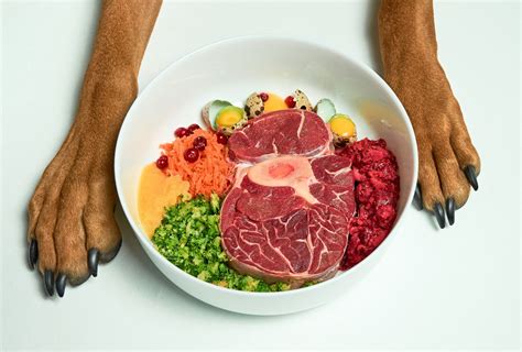  This can get complex, as, with raw or homemade food, you have to be sure to give your dog all the nutrients they need to stay healthy