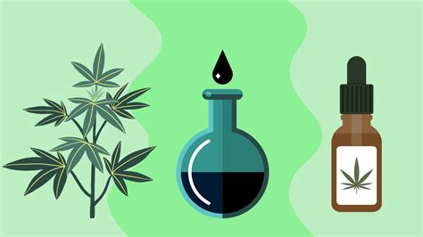  This cheap method utilizes chemicals like ethanol and butane to pull CBD out of the plant
