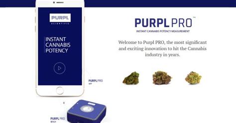  This company guarantees their product is THC-free and offers transparency in their testing lab reports on site