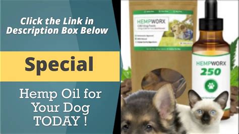  This company takes great care in extracting the purest and most potent hemp oil, providing a natural option for dogs struggling with cancer