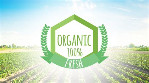  This company takes great satisfaction in obtaining organic hemp, which guarantees the best possible quality for its goods