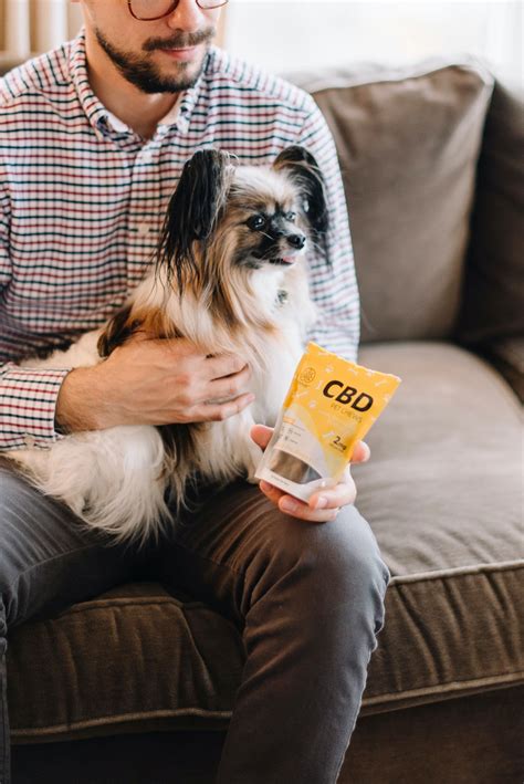  This confusion over legality left pet parents with misconceptions about the safety of CBD for animals