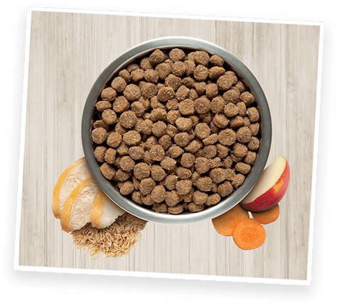  This could include a mix of high-quality kibble, dehydrated dog food, or fresh food