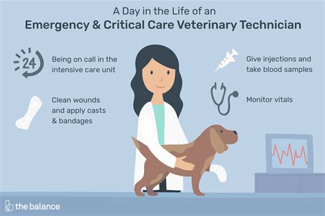  This critical information guides the veterinarian in determining the appropriate course of action