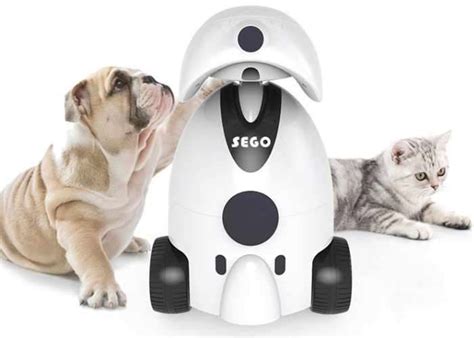  This device allows you to play with your pet companion for an extended period without wearing out your muscles