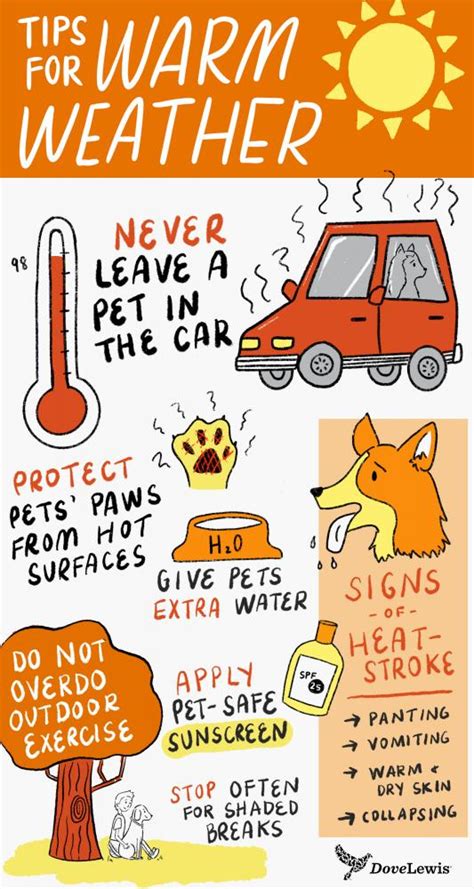  This dog does not do very well with extreme heat, and if owners live in a hot country, keeping the dog in a place where the temperature is favorable is recommended