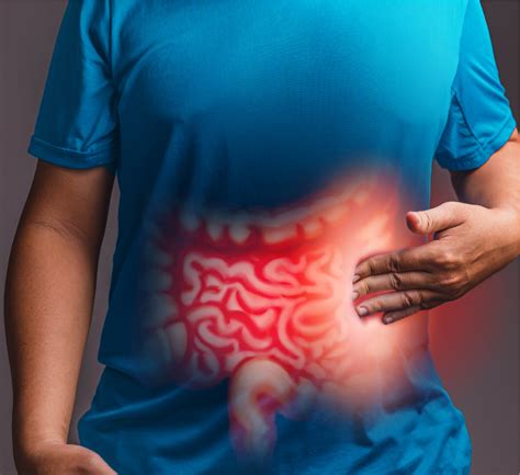  This ease of adjustment may reduce digestive issues