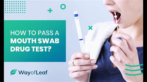  This ensures you easily pass your mouth swab drug tests