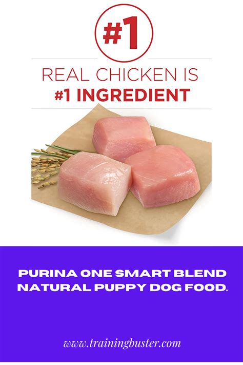  This food is formulated with protein-rich chicken as the first ingredient, ensuring your doggie gets all the nutrients they need to keep their muscles healthy and strong
