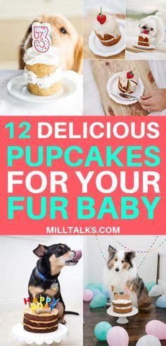  This is a great learning environment for the puppies! This mushy treat quickly becomes a favorite for the pups