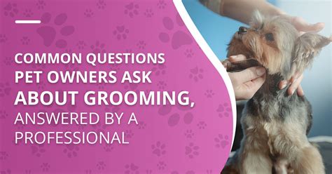  This is a question that is asked of groomers regularly