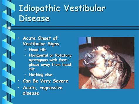  This is also known as Idiopathic Vestibular Disease