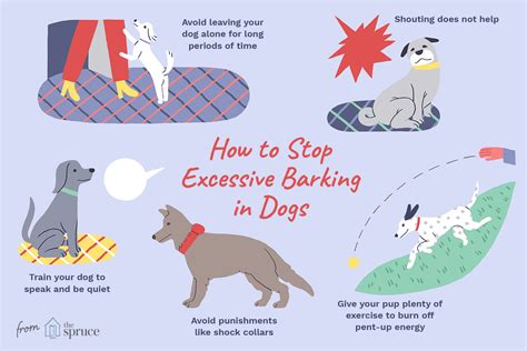  This is an important step because, although many barking problems are mild, some do require special attention