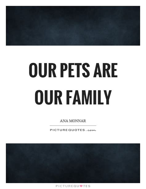  This is as true for us as it is for our pets