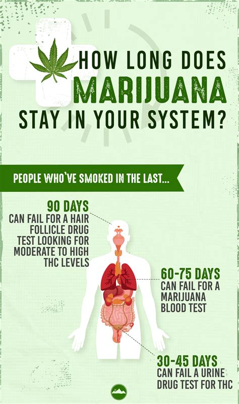  This is because THC can stay in your system even after you